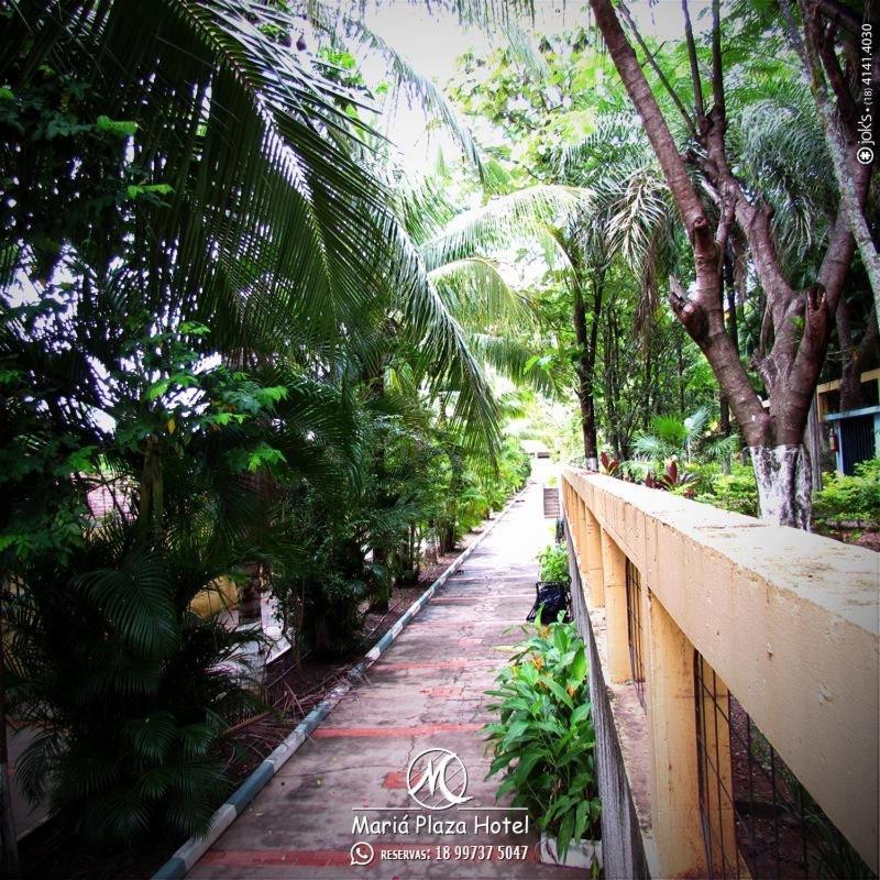 Maria Plaza Hotel Aracatuba  Luaran gambar